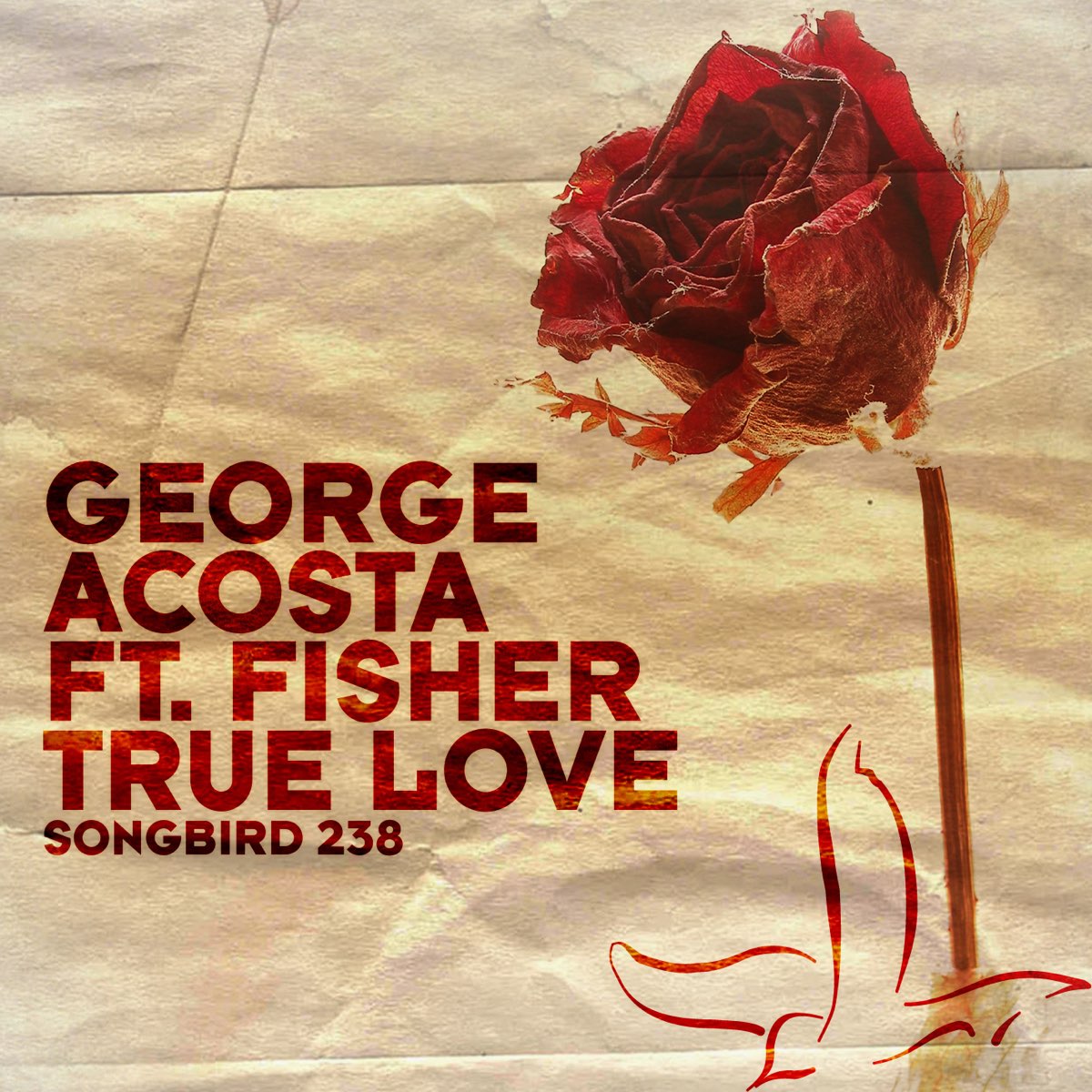 George love. George Acosta. Fisher true Love. Альбом true Love. True Love обложка.