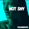 Not Shy - Rolenbmusic lyrics