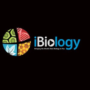Cliff Brangwynne Part 1: Liquid Phase Separation in Living Cells