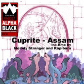 Assam (Melody Stranger Remix) artwork