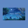 Night Vibes - Single album lyrics, reviews, download