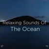 !!" Relaxing Sounds of the Ocean "!! album lyrics, reviews, download