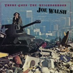 Joe Walsh - A Life of Illusion