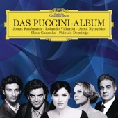 Das Puccini-Album artwork