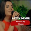 Bitlis'te Beş Minare - Single