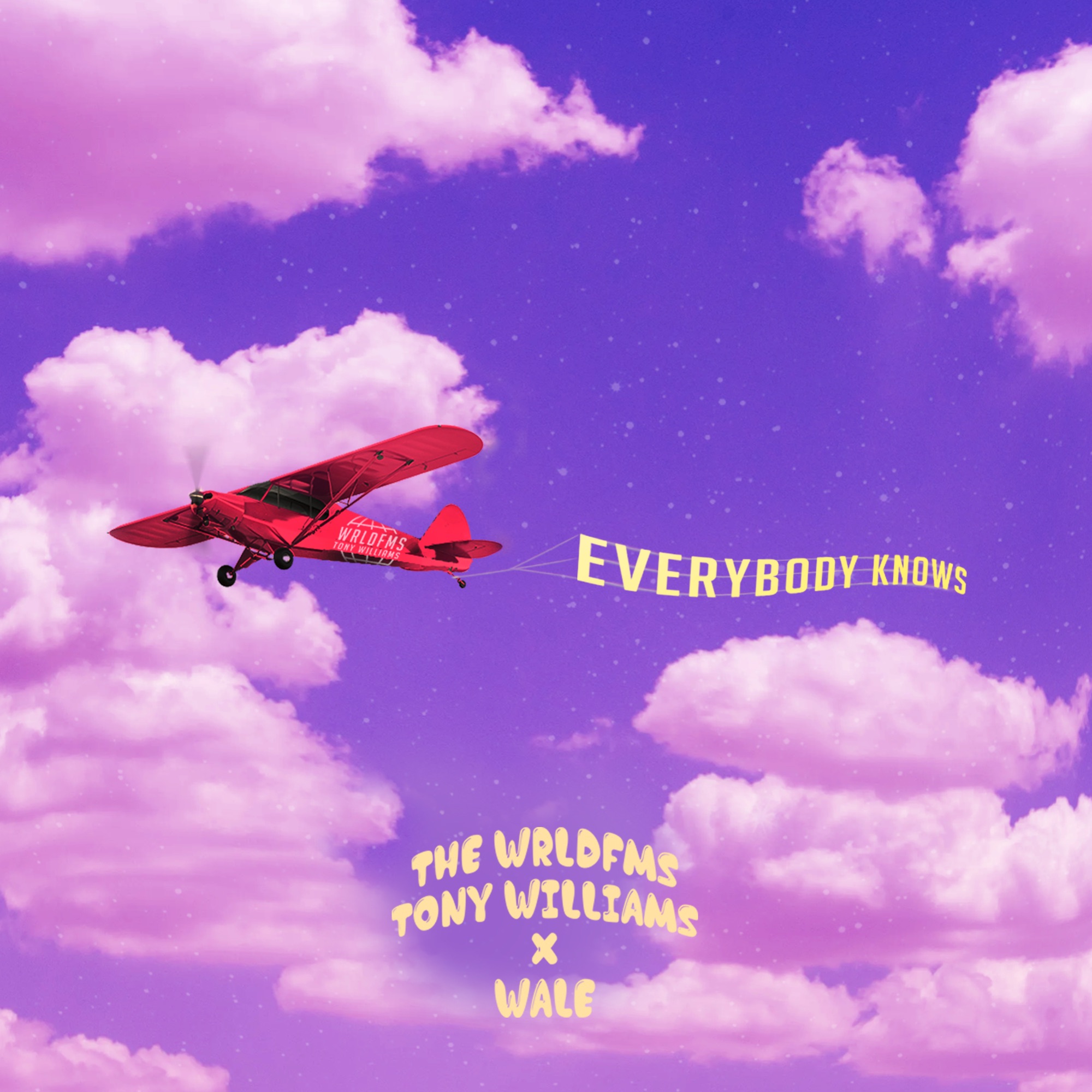 The WRLDFMS Tony Williams & Wale - Everybody Knows - Single