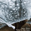 Parks in the Rain - Single