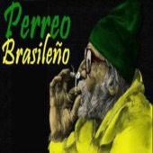 Perreo Brasileño artwork