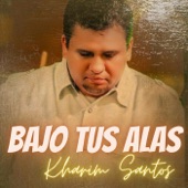 Bajo Tus Alas artwork