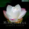 Mindfulness album lyrics, reviews, download