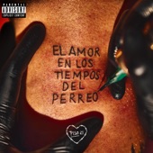 El Amor En Los Tiempos Del Perreo (Apple Music Edition) artwork