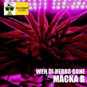 Weh Di Herbs Gone artwork