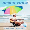 Beach Vibes - Single