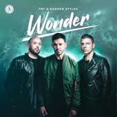 Wonder (Extended Mix) artwork