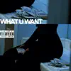 What U Want - Single album lyrics, reviews, download