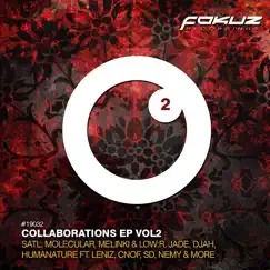 Collaborations 2 by Various Artists album reviews, ratings, credits