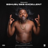 Sghubu Ses Excellent (feat. Madumane, MDU aka TRP & Bongza) artwork