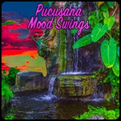 Pucusana - Music on Your Mind
