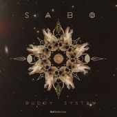 Celebration Santoor (feat. Bahramji) artwork