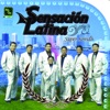 Sensacion Latina - Guambrita Querida