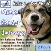 Music for Car Journeys, 12 Hours Relaxing Dog Music Inc. Relaxing Piano, Soundscapes, Sleeping Frequencies and Anti-Anxiety Music artwork