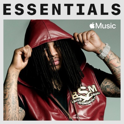 No Hands - Waka Flocka Flame Feat. Roscoe Dash & Wale | Shazam