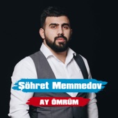 Ay Ömrüm artwork