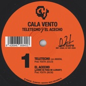 Teletecho (feat. Amaral) artwork