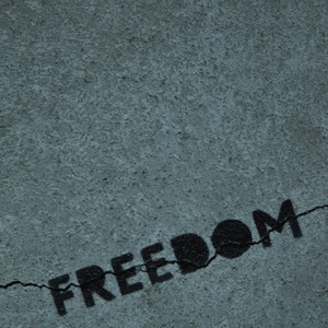 Miyagi & Andy Panda Freedom (feat. Moeazy)