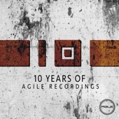 10 Years of Agile Recordings artwork