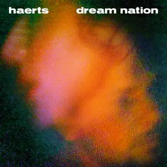 For the Sky (feat. Ed Droste) by HAERTS song reviws