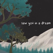 Saw You in a Dream artwork