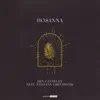 Hosanna (feat. Steffany Gretzinger) - Single album lyrics, reviews, download