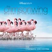 The Crimson Wing: Mystery of the Flamingos (Original Soundtrack) artwork