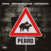 Perro (feat. Broederliefde & Dopebwoy) artwork