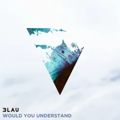 Would You Understand (feat. Carly Paige) - Single - 3LAU
