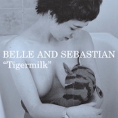 Belle and Sebastian - You're Just a Baby