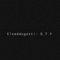 G.T.F - elseddogotti lyrics