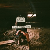 Lein - Red Flags on a Green Hill