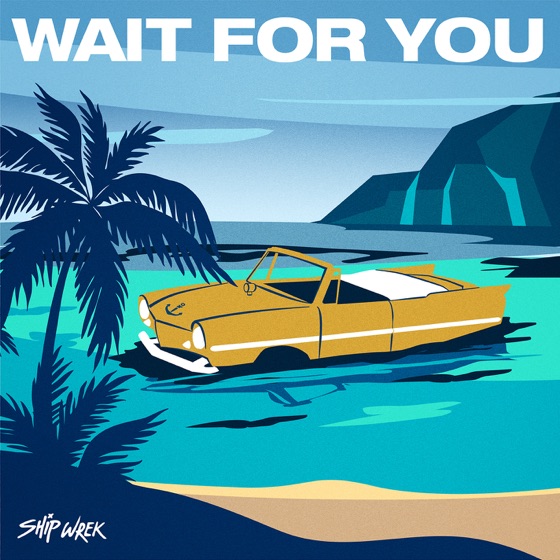 Cover artwork for Wait for You