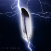 Feather - Single