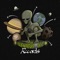 Foggy Morning - Alienator UFO Records 2021 lyrics