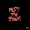 Burn Me Down (feat. Devvlov) - Single album lyrics, reviews, download