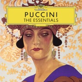Puccini: The Essentials artwork