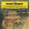 Puccini: Turandot - Highlights album lyrics, reviews, download