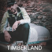 Timberland artwork