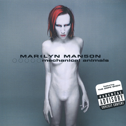 Art for I Don't Like the Drugs (But the Drugs Like Me) by Marilyn Manson