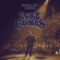 Beautiful Crazy (Acoustic) - Luke Combs