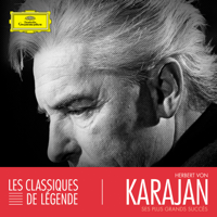 Herbert von Karajan & Berlin Philharmonic - Herbert von Karajan artwork