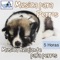 Relajar Mi Perro - Relaxmydog lyrics